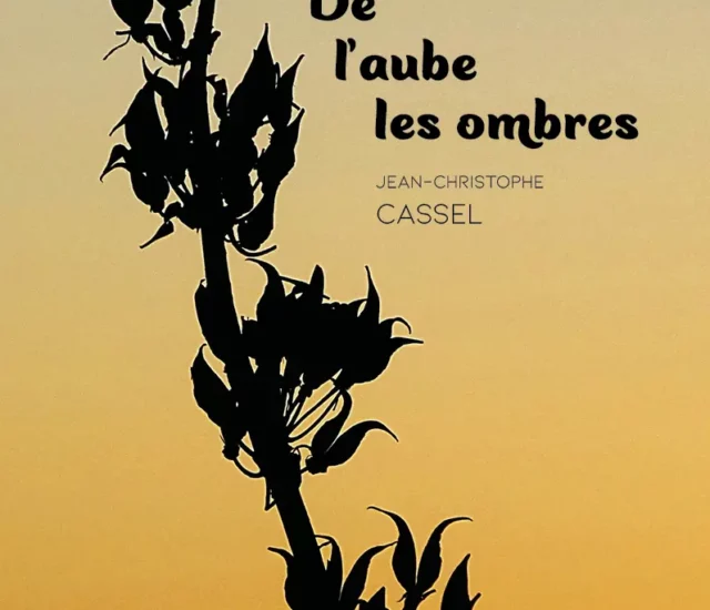 Entretien avec Jean-Christophe Cassel auteur De l’aube les ombres