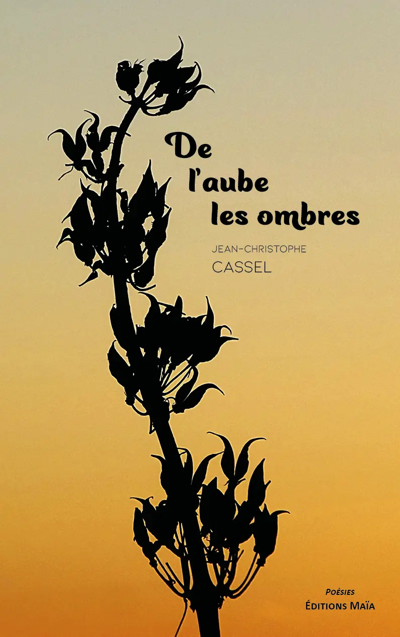 Entretien avec Jean-Christophe Cassel auteur De l’aube les ombres