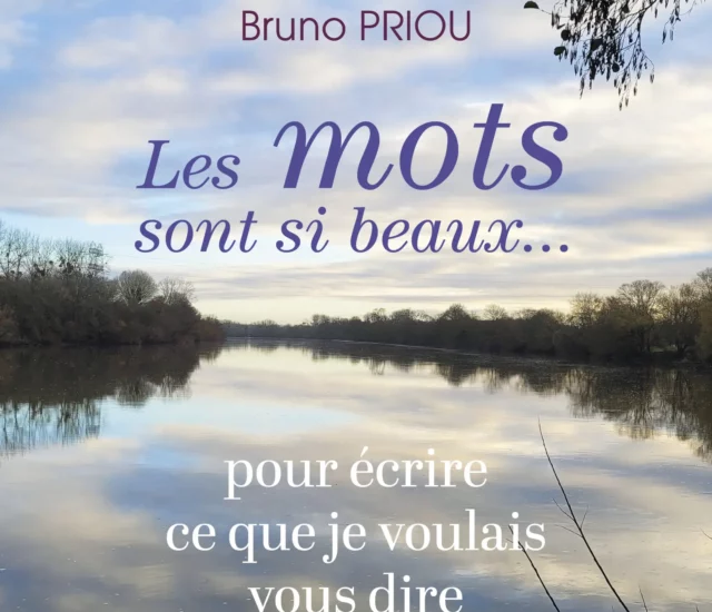 Entretien avec Bruno Priou auteur de Les mots sont si beaux… pour écrire ce que je voulais vous dire