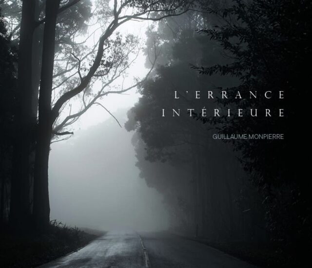 Entretien avec Guillaume Monpierre auteur de L’errance intérieure