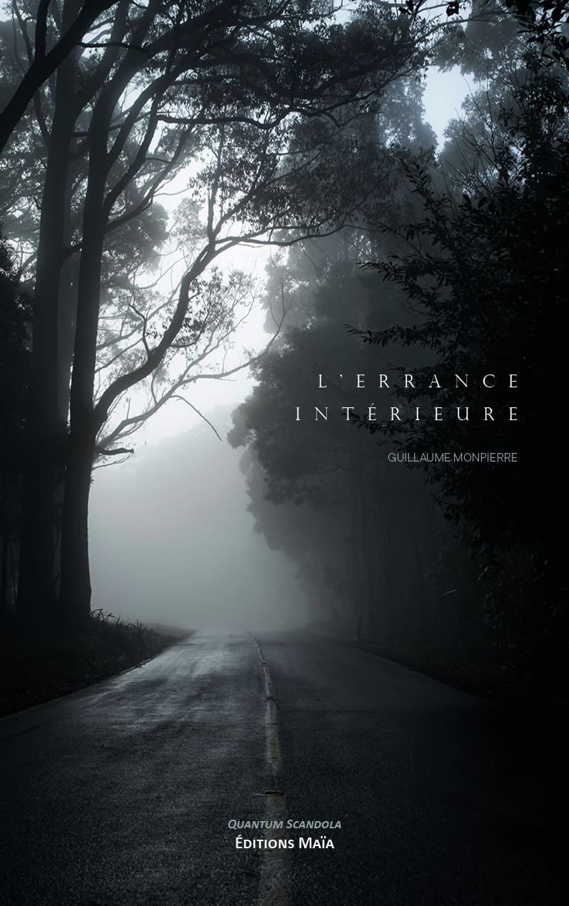 Entretien avec Guillaume Monpierre auteur de L’errance intérieure