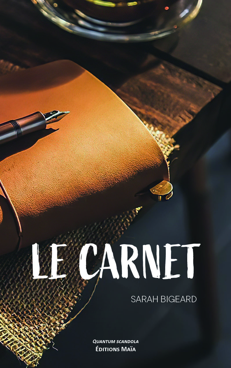 Entretien avec Sarah Bigeard auteure de Le carnet
